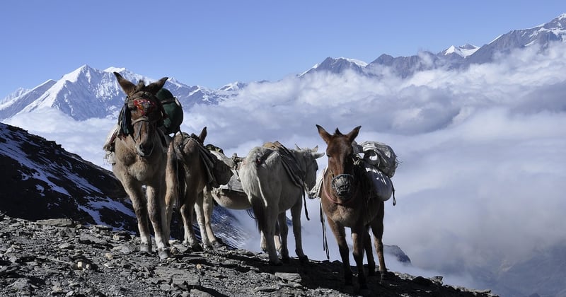 Trek au Népal : les saisons idéales et les alertes actuelles à connaître
