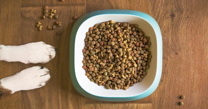 Sécher et conserver les aliments pour trek en altitude : le guide complet