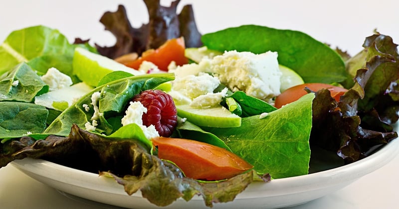 Repas lyophilisés vs aliments frais : que choisir pour votre expédition ?