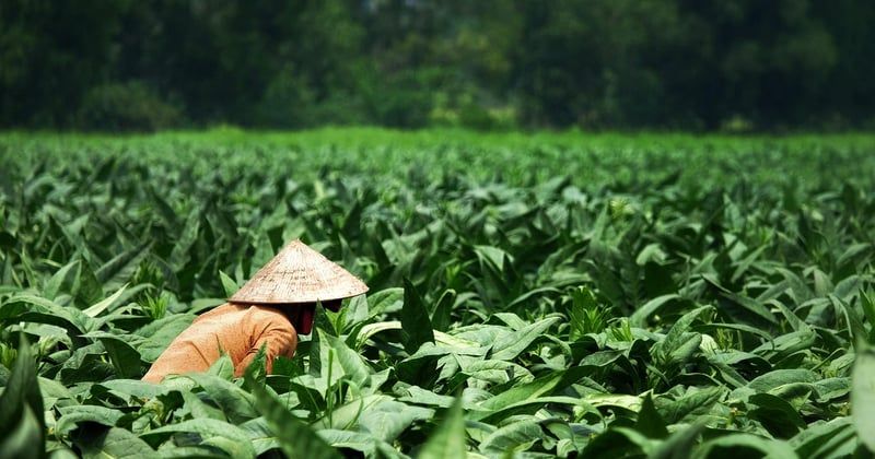 Retraites agricoles : la réforme adoptée, ce qui change pour vous