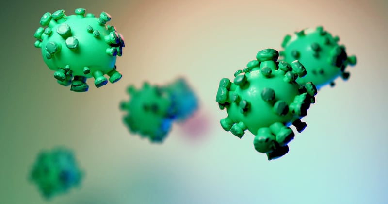 Grippe aviaire : le nouveau vaccin qui change la donne